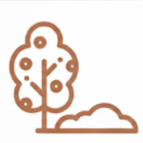 DUŻY PRYWATNYOGRÓD